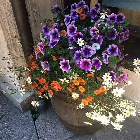 Pensión Gostisce Smuk