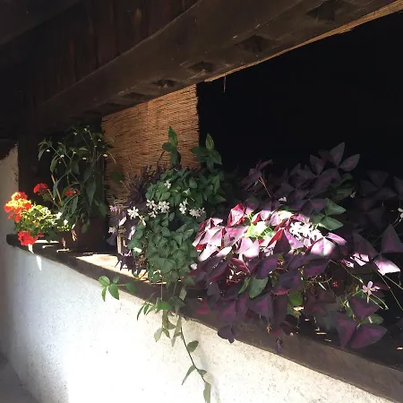 Pensión Gostisce Smuk 2*