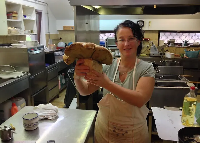 بيت ضيافة Gostisce Smuk