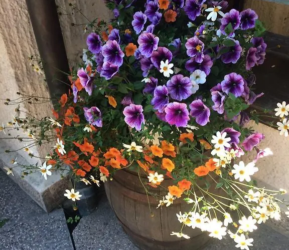 招待所 Gostisce Smuk